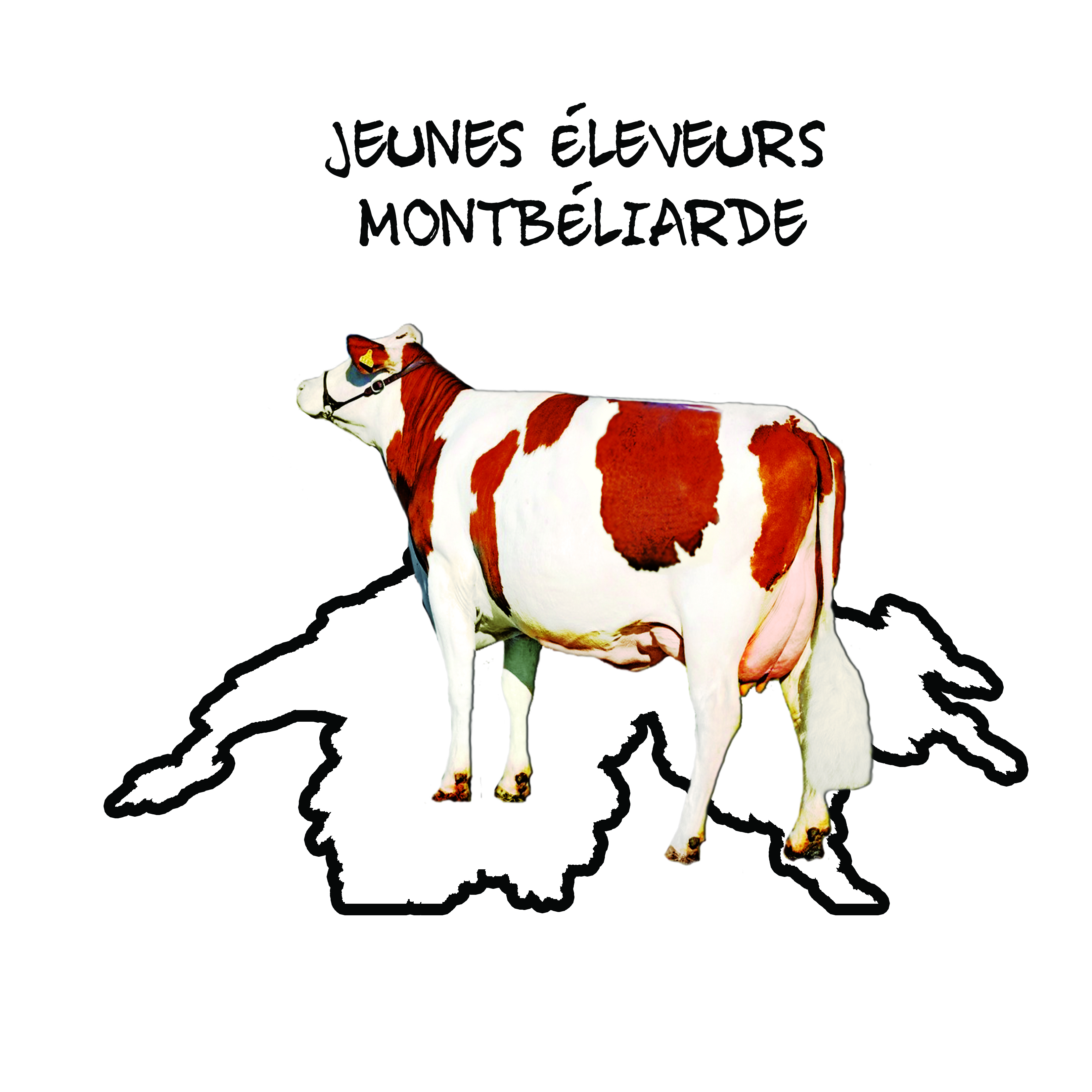 Logo jeunesses suisse png